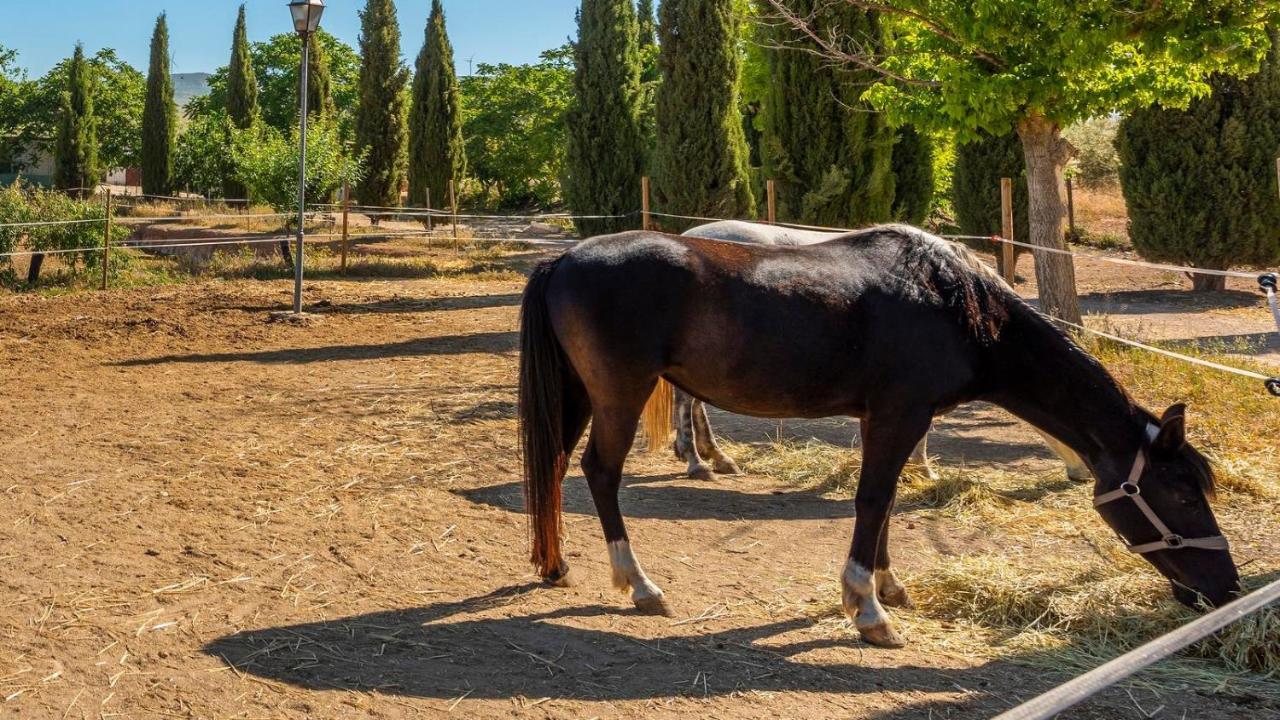 Cortijo Carrillo Antequera By Ruralidays Villa Dış mekan fotoğraf